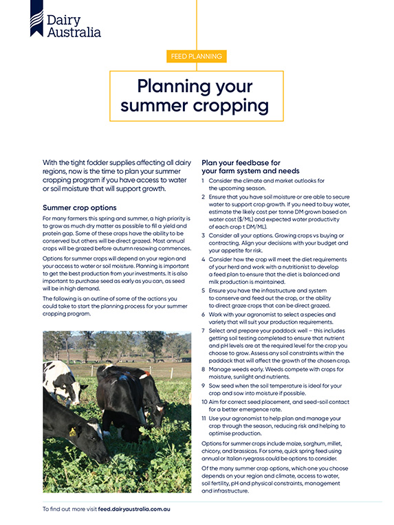 Planning for summer cropping factsheet thumbnail