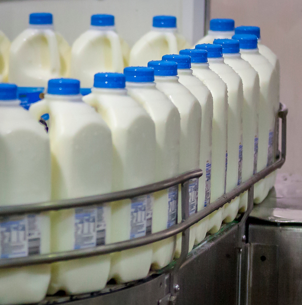 Milk in factory