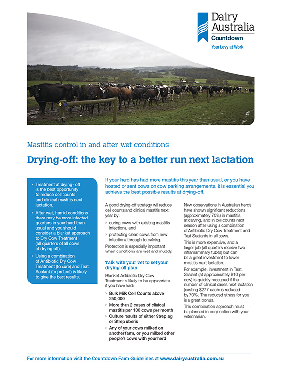 drying off key to better run next lactation factsheet thumbnail