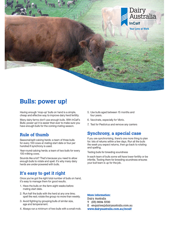 Bulls Power Up factsheet thumbnail