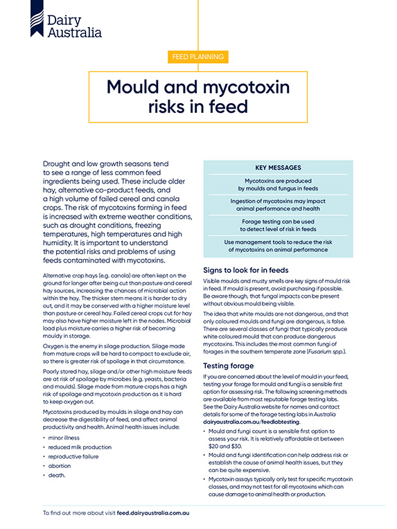 mould and mycotoxin risks in feed thumbnail