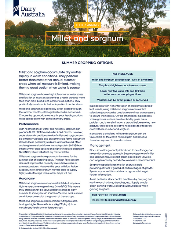millet and sorghum summer cropping options thumbnail