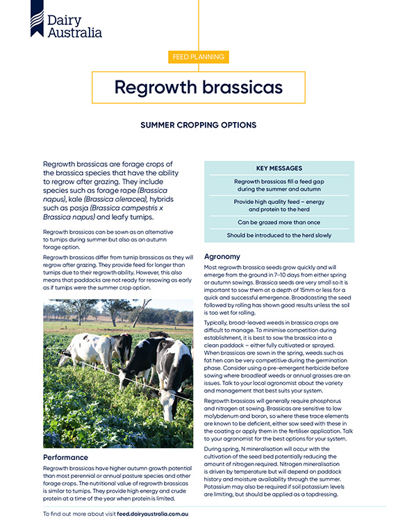 regrowth brassicas summer cropping options factsheet thumbnail
