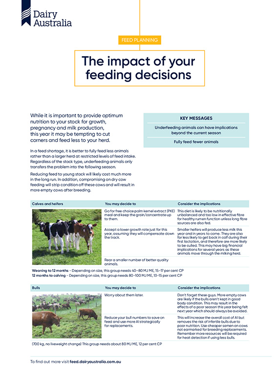 Impact of your feeding decisions factsheet thumbnail