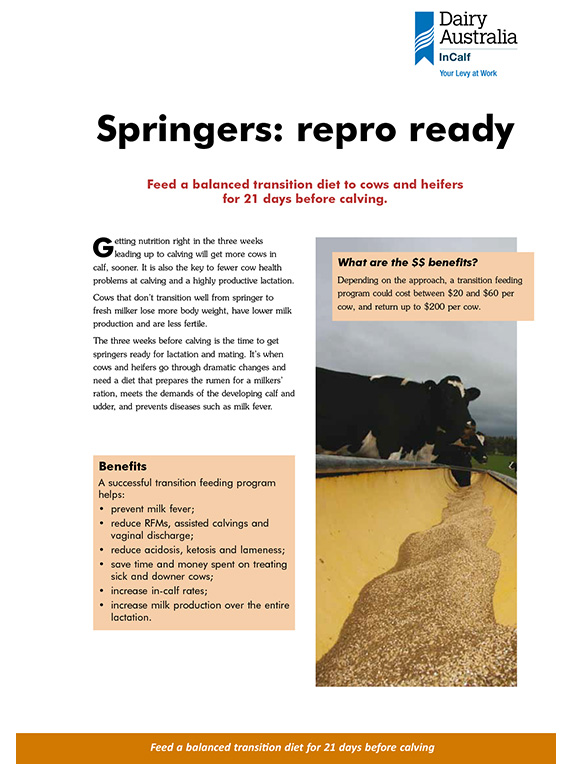 Incalf springers repro ready transition diet booklet thumbnail