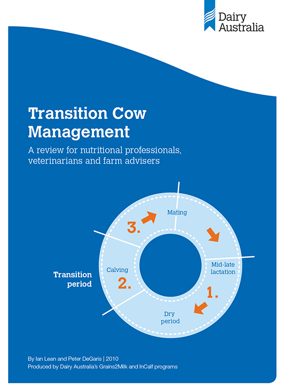 Transition Cow Management  veterinarians and farm advisors thumbnail