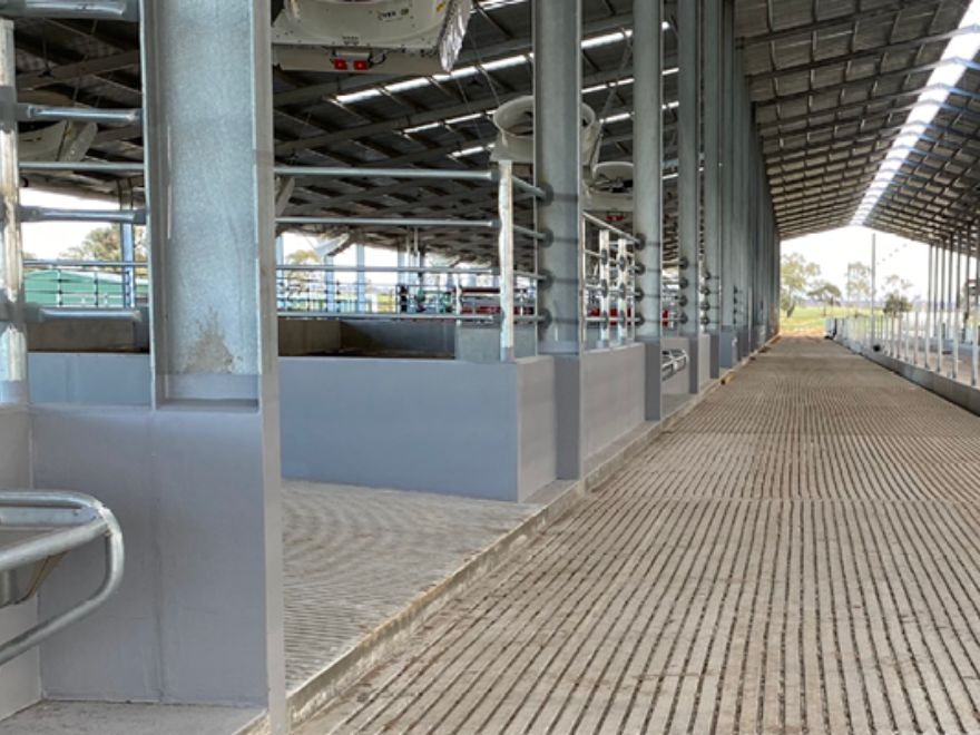 Image of Contained Housing on Dairy