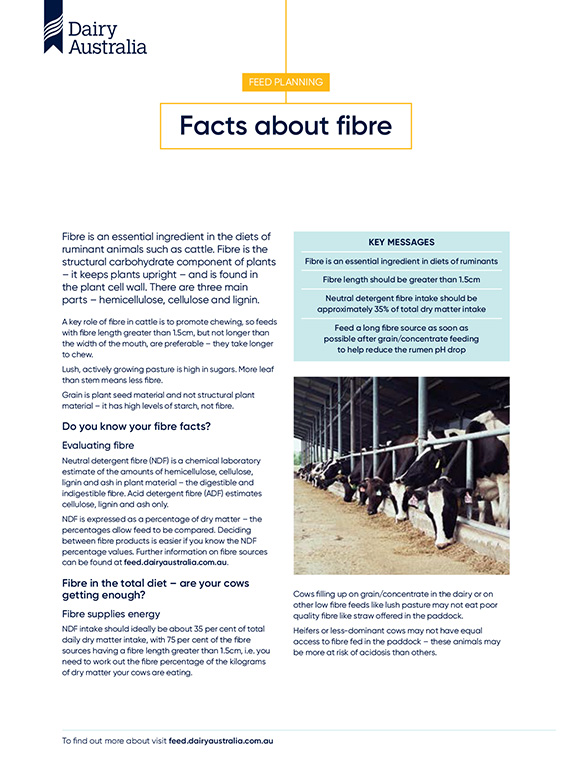 Facts about fibre factsheet thumbnail