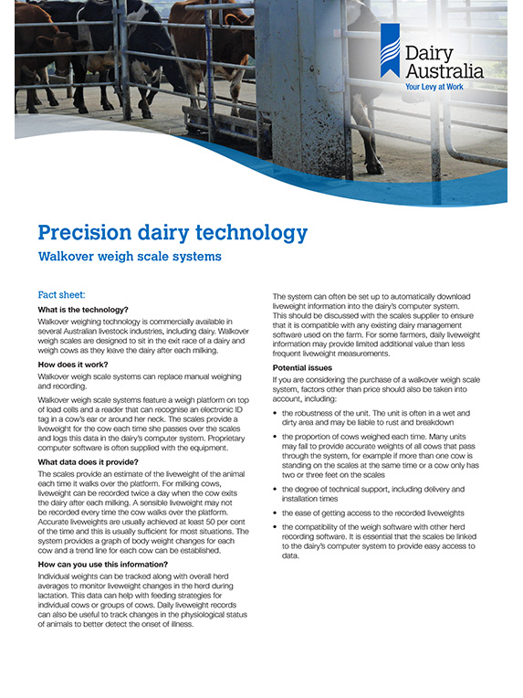 Precision dairy technology Walkover weigh scale systems thumbnail