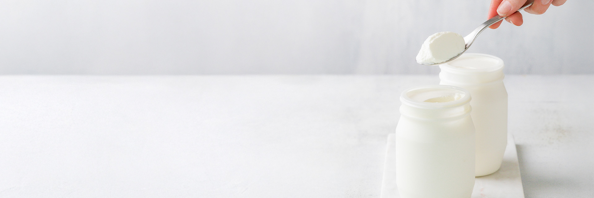 Yoghurt Header.jpg