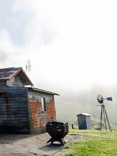 Sapphire Coast Dairy.jpg