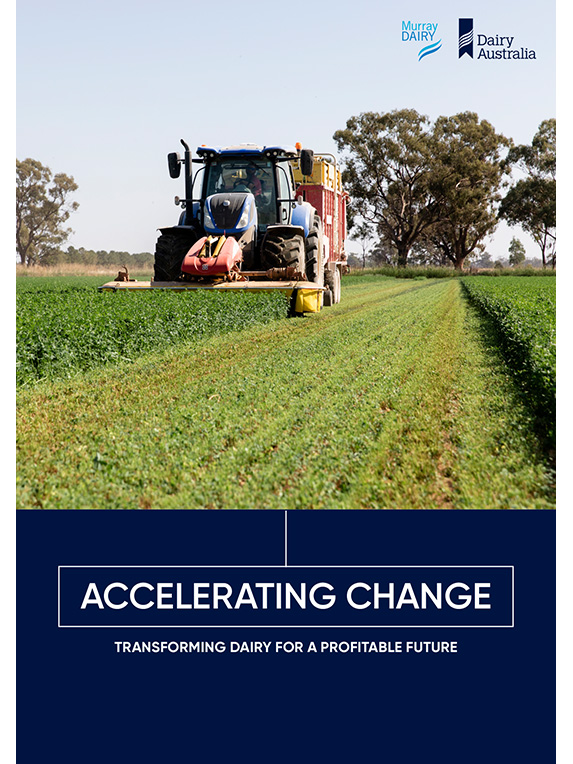 Accelerating Change Project Report thumbnail