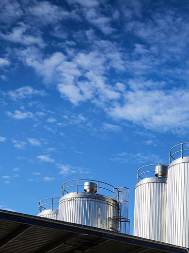 How Milk is Made - Header.jpg