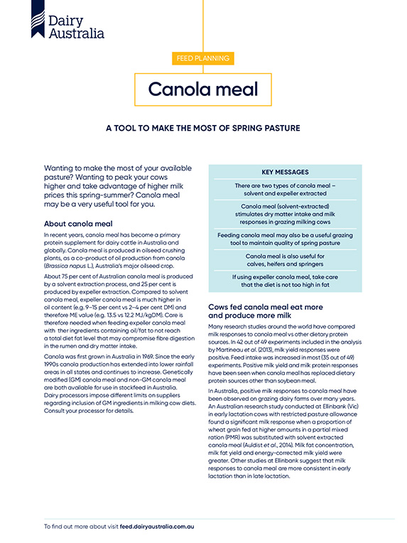 canola meal factsheet thumbnail
