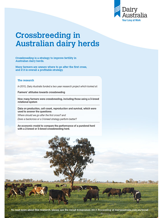 Crossbreeding in australian dairy herds factsheet thumbnail