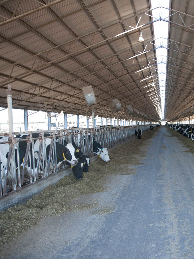 Feedpad shade structures_Promo CV 42