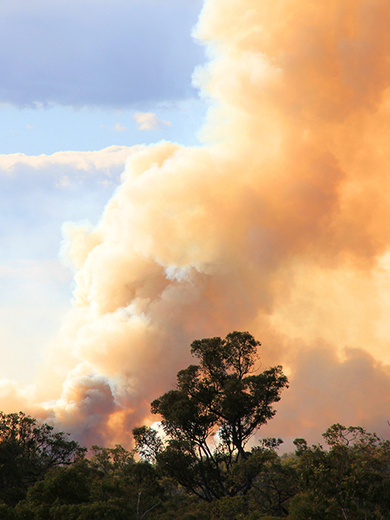 Bushfirephoto