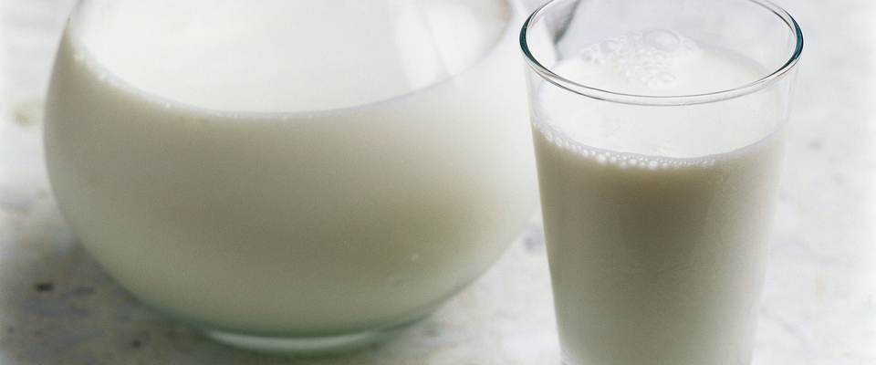 milk manufacturers