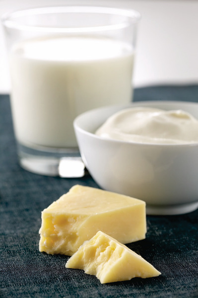 YAWA 48 Milk  cheese