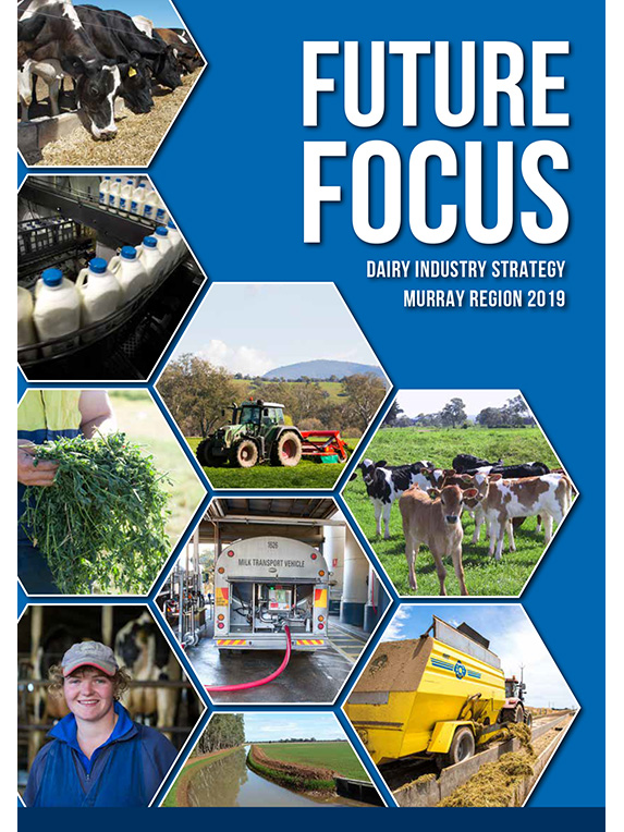 Murray Dairy Future Focus Regional Industry Strategy 2019 thumbnail