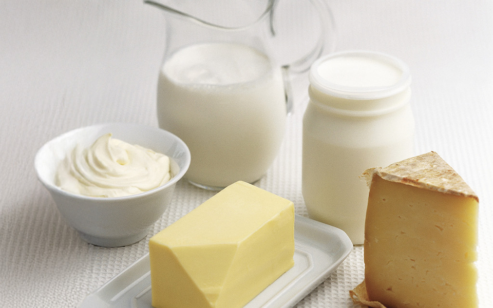 L2. Dairy Products Header (1).jpg