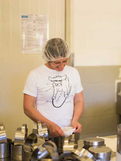 Pyengana Dairy-making cheese.webp