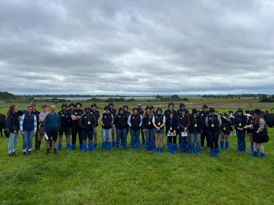 YDN - Ireland.jpg