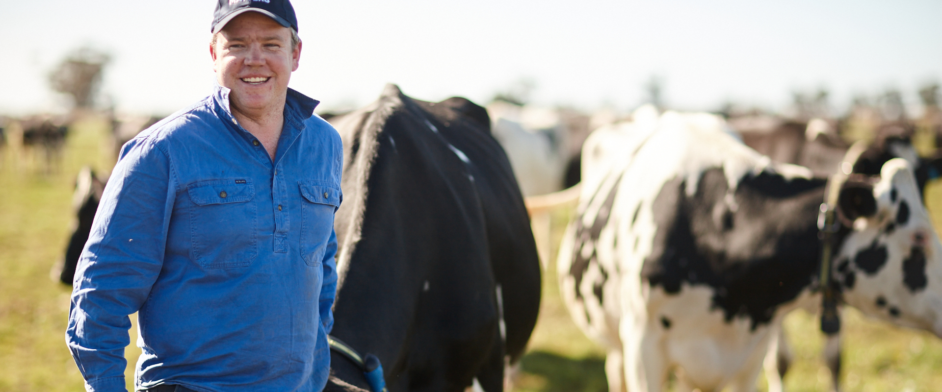 Dairy in Australia_banner.jpg