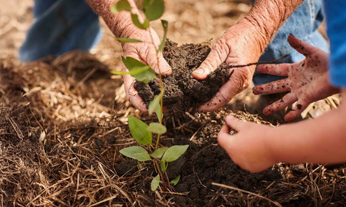 Sustainability header banner image.jpg