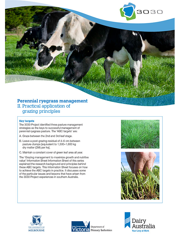 perennial ryegrass management II practical application of grazing principles thumbnail
