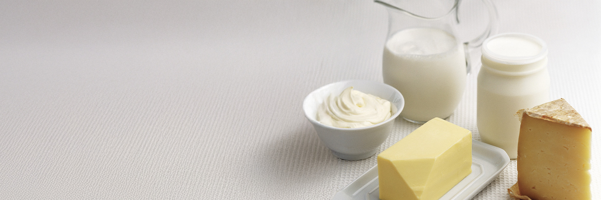 L2. Dairy Products Header (1).jpg