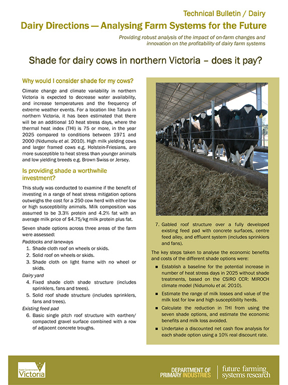 Shade for dairy cows in northern vic factsheet 2013 thumbnail