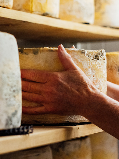 Cheesemaking header L4.jpg