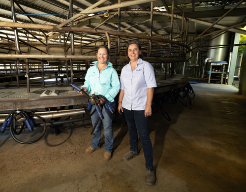 Gippsland Dairy Industry Strategy Article Image