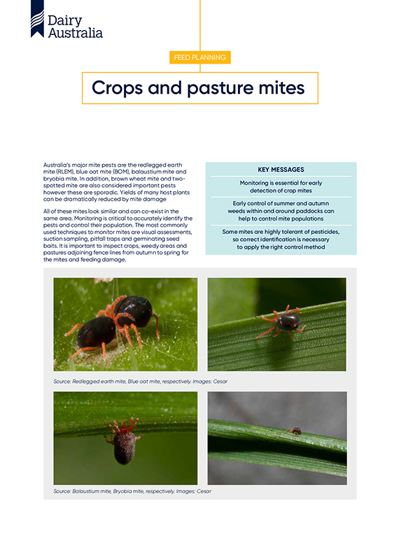 Crops and pasture pests factsheet thumbnail