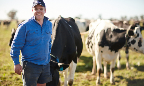 Dairy in Australia_banner.jpg