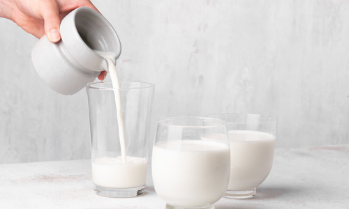 L3 Milk header.jpg