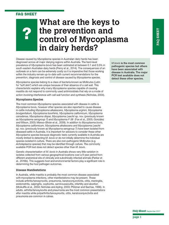 Mycoplasma prevention in dairy herds FAQ Technote thumbnail