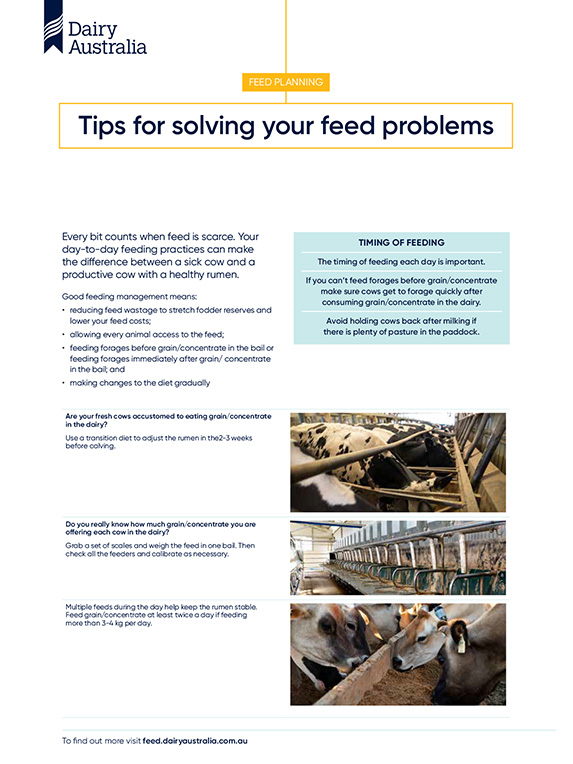 Solving your feed poblems factsheet thumbnail