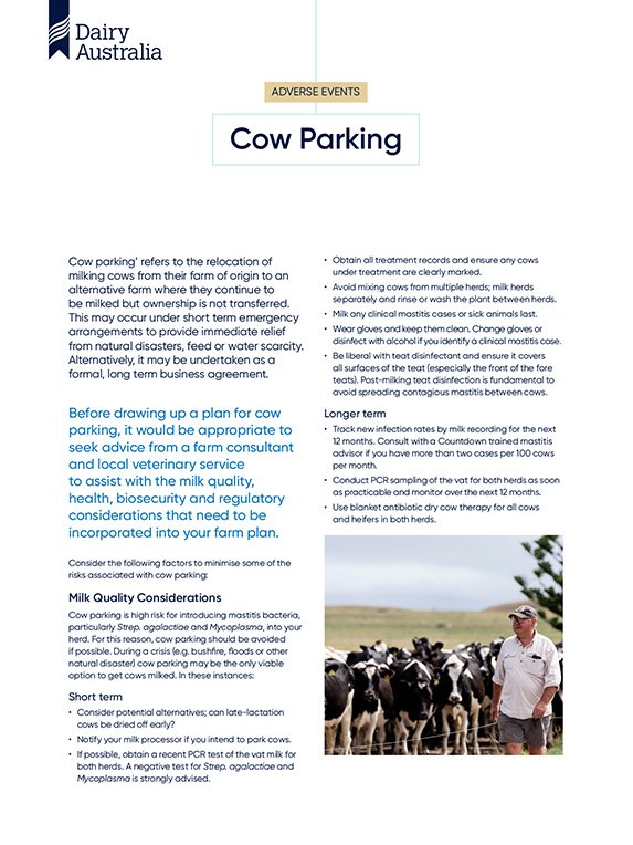 Cow parking factsheet thumbnail