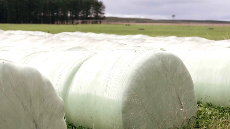 Silage-optimized.webp