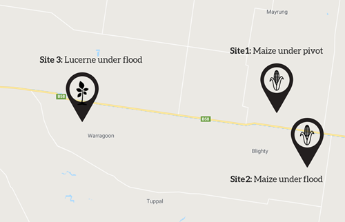 Soil Moisture Monitoring - Riverina Map
