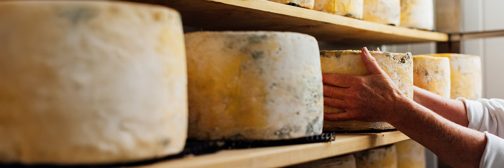 Cheesemaking header L4.jpg