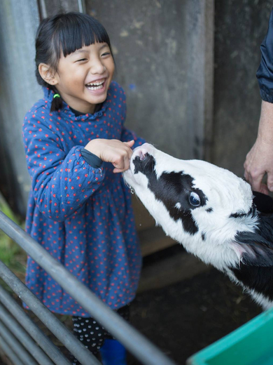 GirlCowSuckHand.jpeg