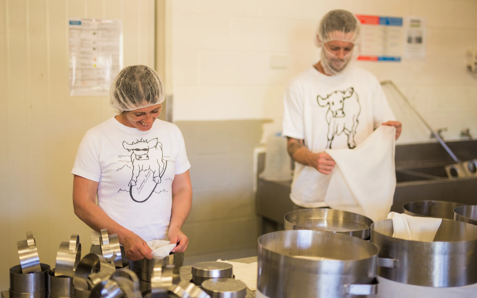 Pyengana Dairy-making cheese.webp