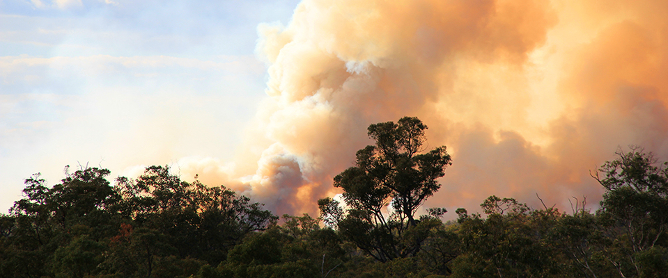 Bushfirephoto