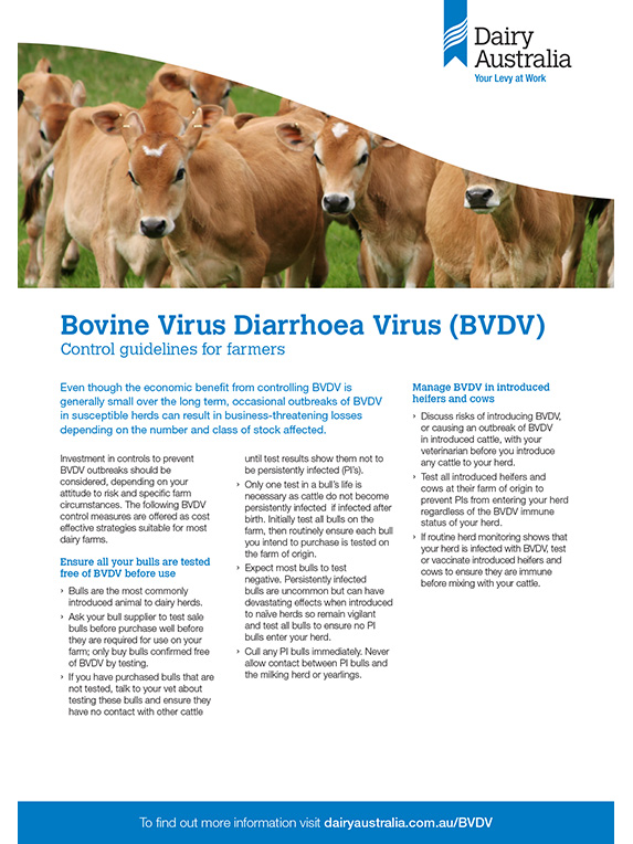 BVDV in Australian dairy herds Control guidelines for farmers thumbnail