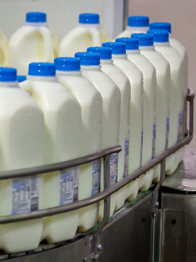 Milk in factory